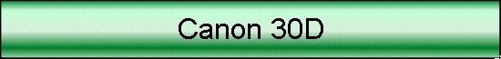 Canon 30D