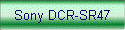 Sony DCR-SR47