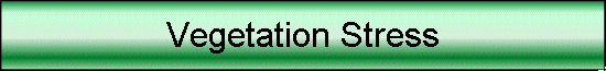 Vegetation Stress