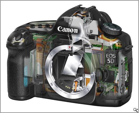 Brochure media cache Canon 5D