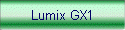 Lumix GX1