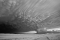 Untitled 2 Untitled 2