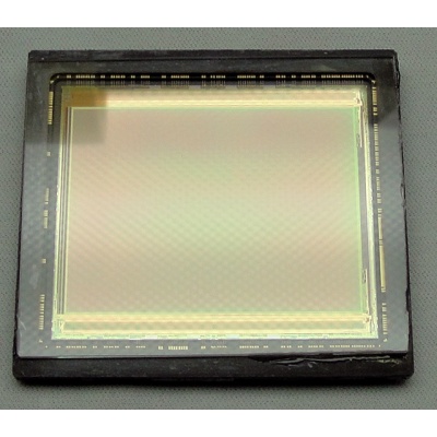 gfx-50-sensor-monochrome_1551116058